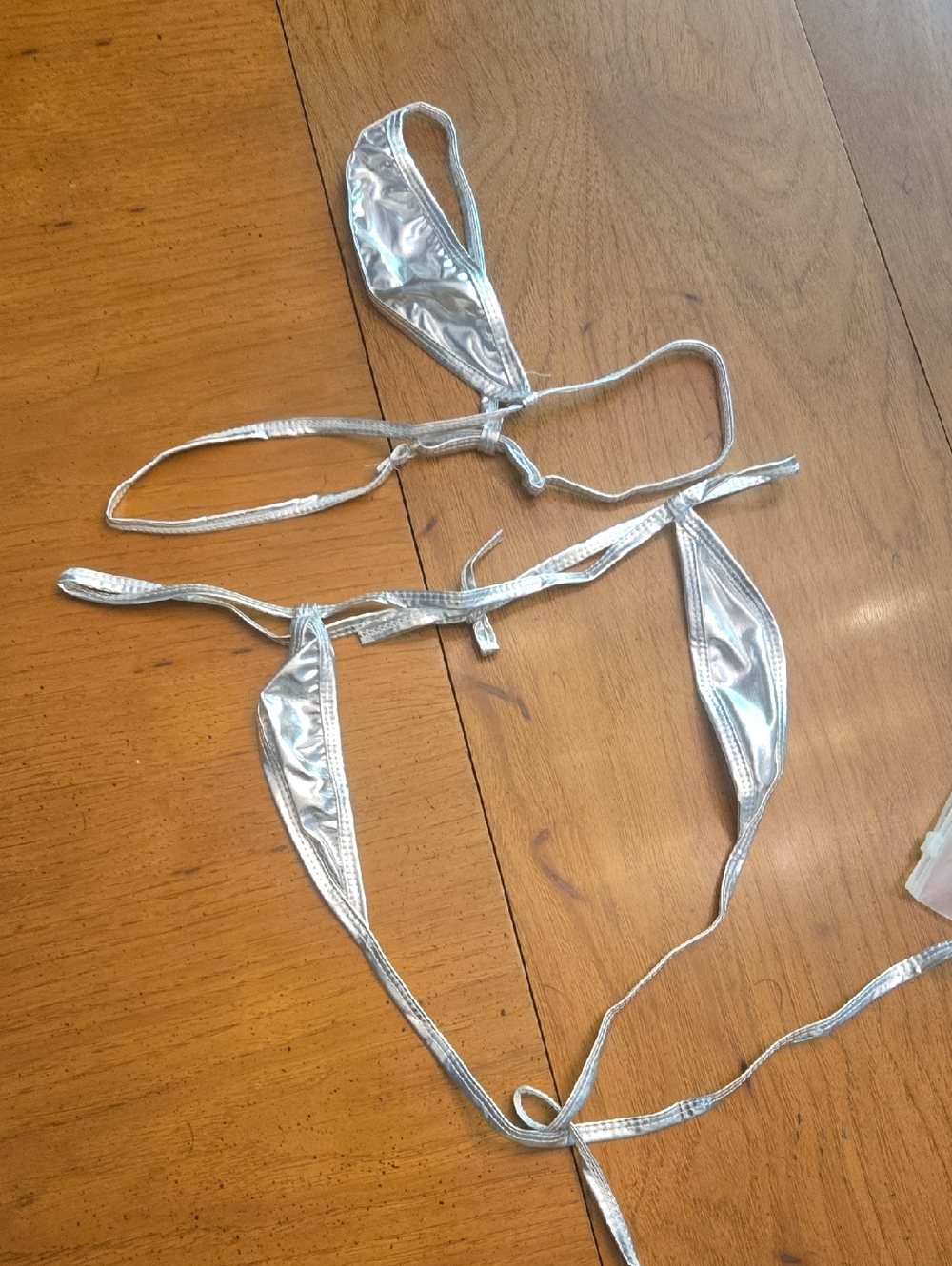 Silver Metallic Triangle Bikini Top and Tie Swim Bottoms